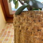 Keramični lonec Home Gardens 918.015.26